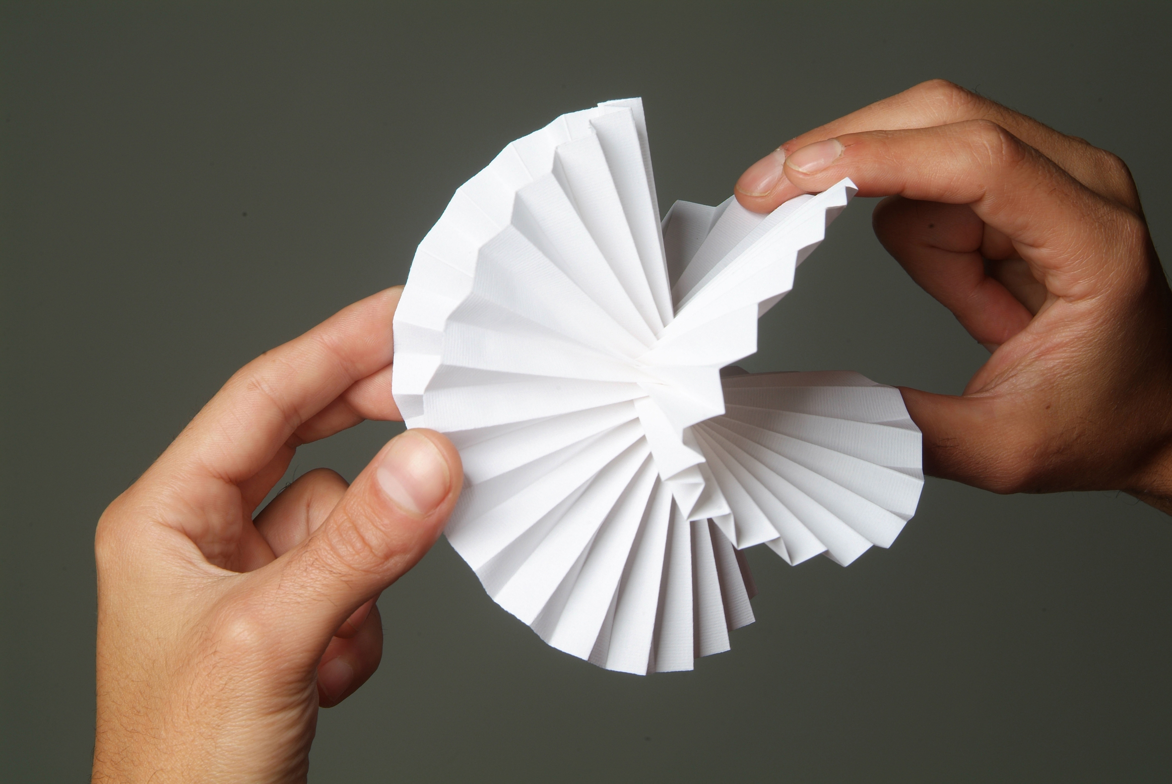 https://www.i2a.ch/from-sheet-to-form-a-folding-masterclass-with-paul-jackson