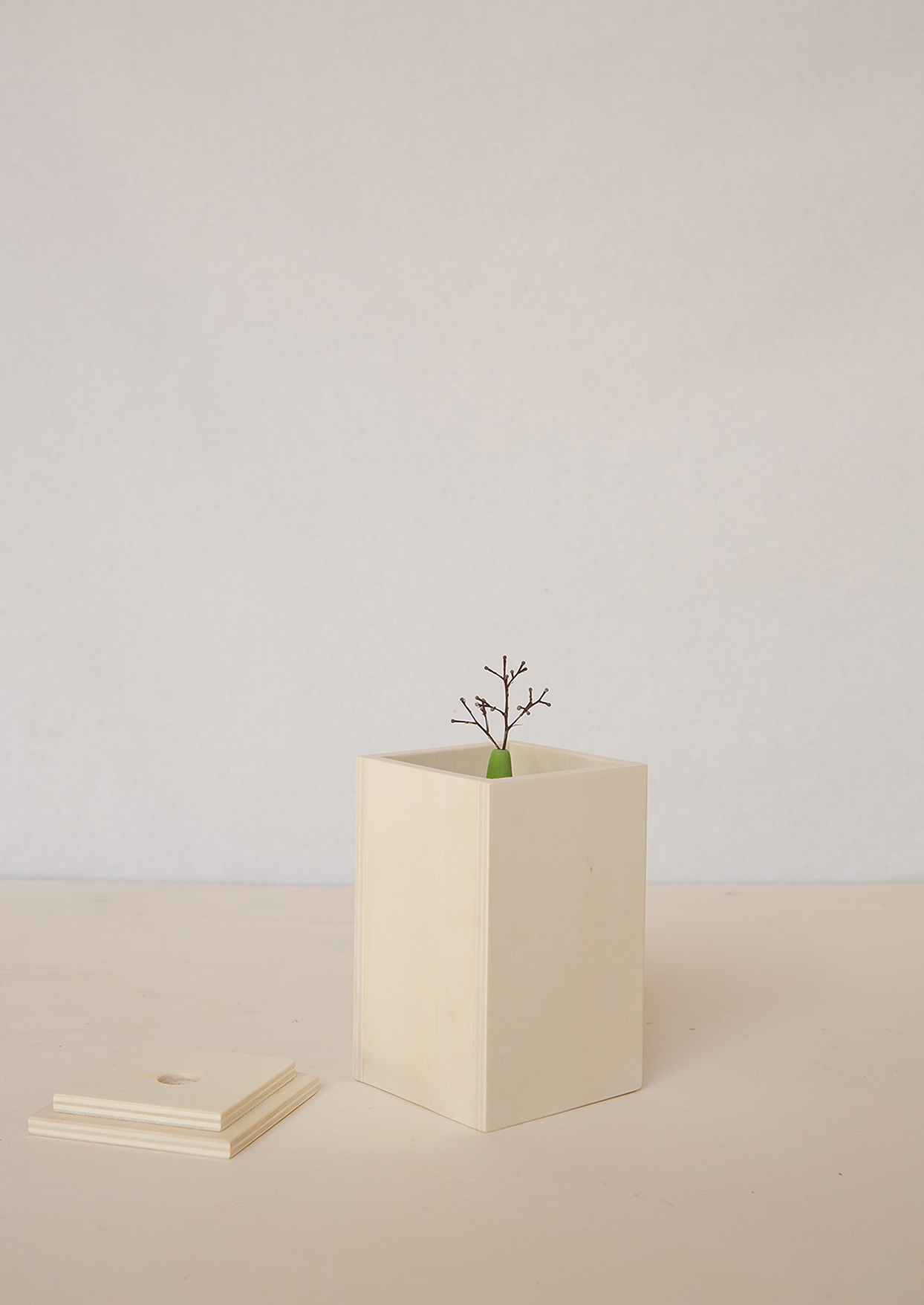 https://www.i2a.ch/mostra-la-casa-che-cresce-di-pietro-stolz