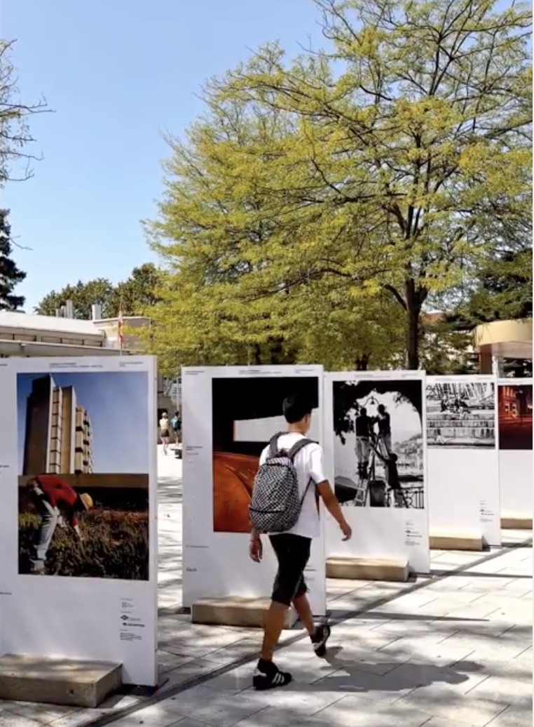 https://www.i2a.ch/mostra-lugano-in-un-immagine-gesti-di-cura-per-territorio-ambiente-collettivita